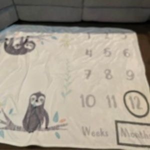 Baby milestone blanket